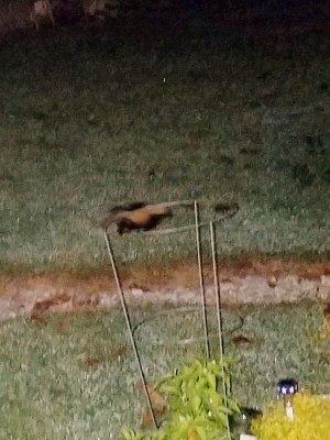 20190723_205717.jpg