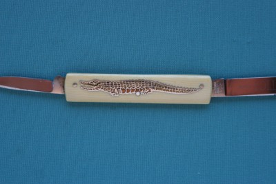 gator3.jpg