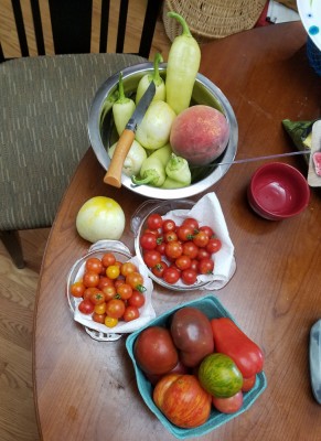20190728_133251.jpg