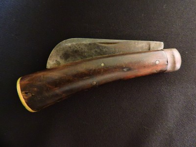 DSCN8873.JPG