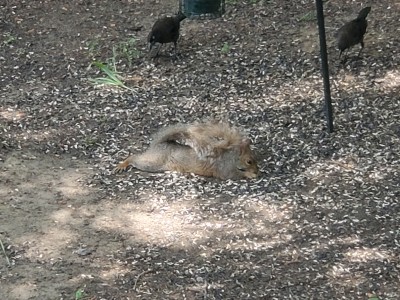 20190803_124504.jpg