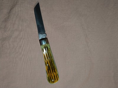 IMAG0042.jpg