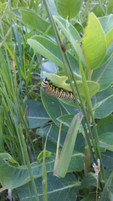 20190803_105922.jpg