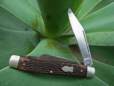 My Old WALDEN 881