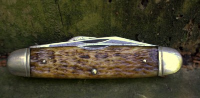 IMG_2424.jpg