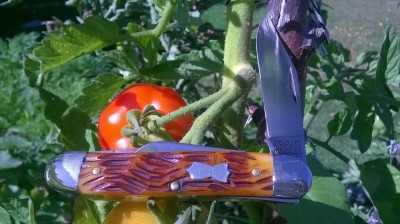 thumbnail_WP_20190813_10_52_30_Pro.jpg