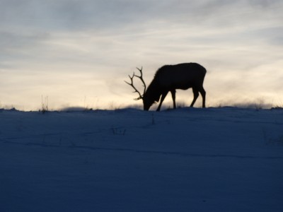 DSCN1778.JPG