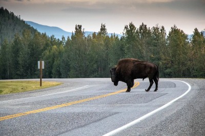 I believe he has the right of way