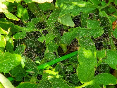 20190817_095829.jpg