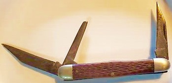 image.jpeg