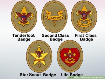 aid16943-v4-728px-Become-an-Eagle-Scout-Step-3-Version-3.jpg