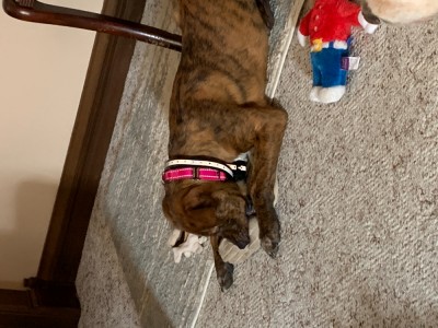 IMG_0945.jpeg