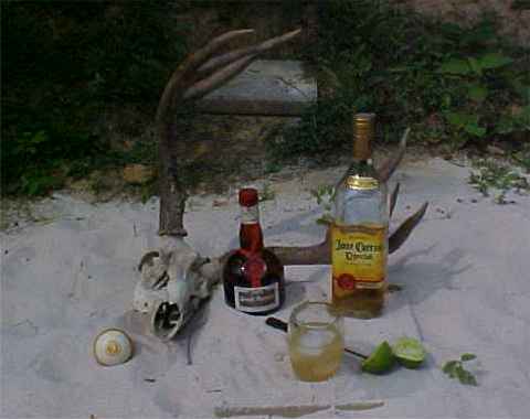 SandBar Stag.jpg