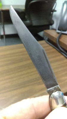 IMAG0870.jpg