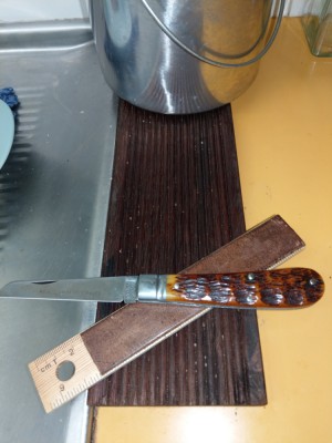 IMAG0081.jpg