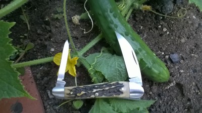 WP_20190722_029.jpg