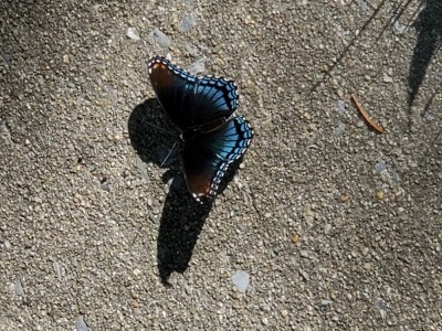 20190829_172752.jpg
