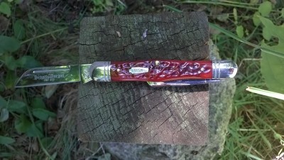 WP_20180703_011.jpg