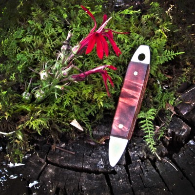 2019-tuna-pick-red-burl-01-lo.jpg