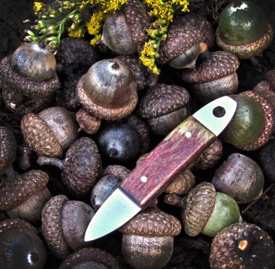 2019-tuna-pick-apple-01-lo.jpg