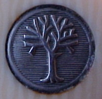 shield3.jpg