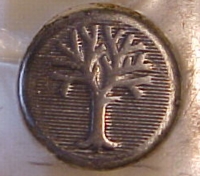 shield5.jpg