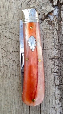 camel bone - 1.jpg