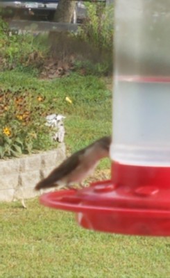 20190907_103505.jpg