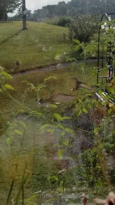 20190907_093935.jpg