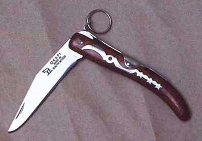 Okapi-1-b.jpg