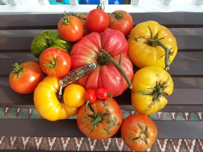 20190910_090308.jpg