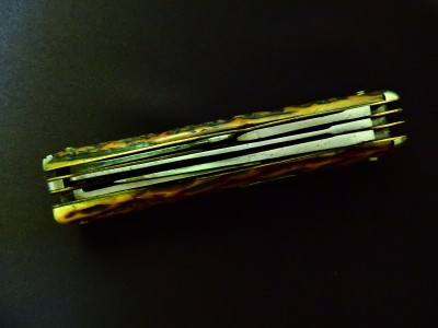 DSCN9537.JPG