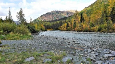 Kenai Mountain stream