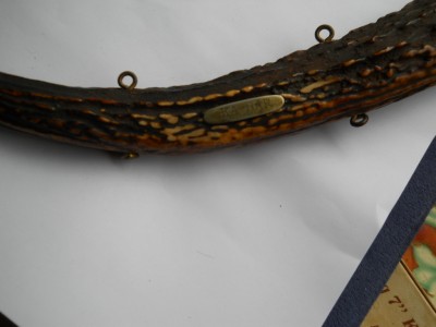 DSCN3176.JPG