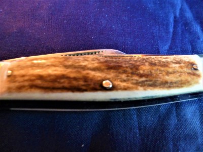 P1030451 (2).JPG
