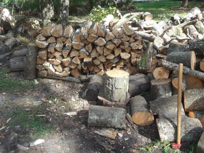 20190919_160047.jpg