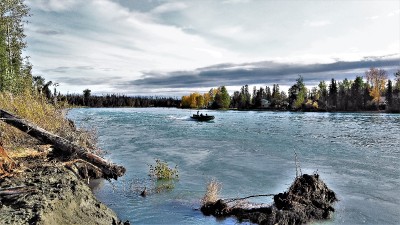 Upper Kenai River, it's Rainbow Trout time.