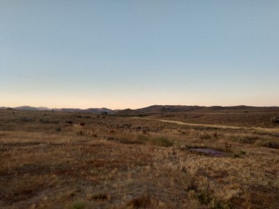 IMG_20190901_190352844_HDR.jpg