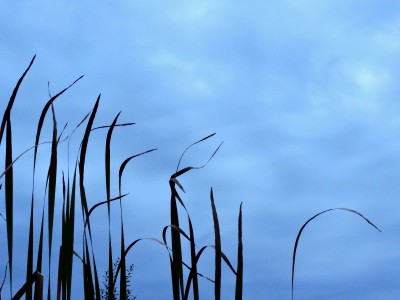 DSCN9992.JPG
