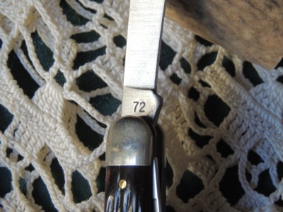 DSCN6078.JPG