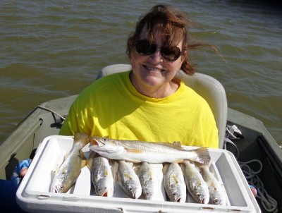Sand Sea Trout