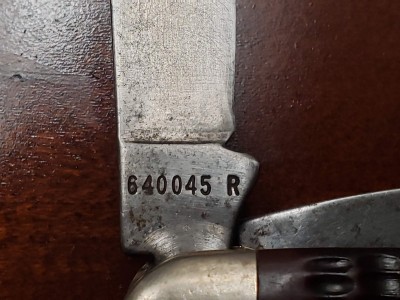 20191010_183406.jpg