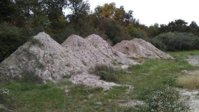 20191010_173231.jpg
