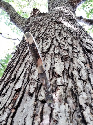 15 Oct 2019 4 (2).jpg
