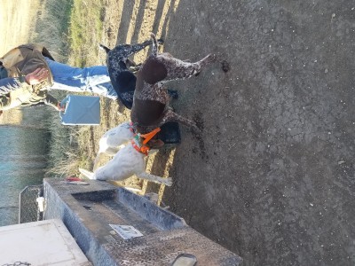 20191015_092141.jpg