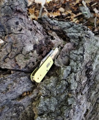 Trail Barlow.jpg
