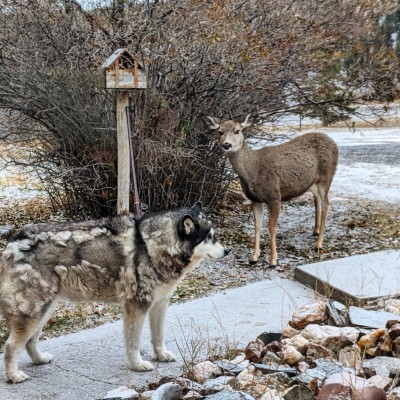 aapkmuley.jpg