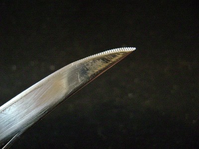 Camillus 25 Fish Knife - Main Blade Tip.JPG