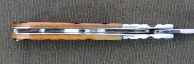 M Klein TL Mod f.jpg