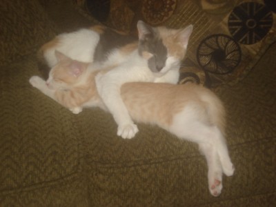 MOM AND SON DANGLING OF SOFA!